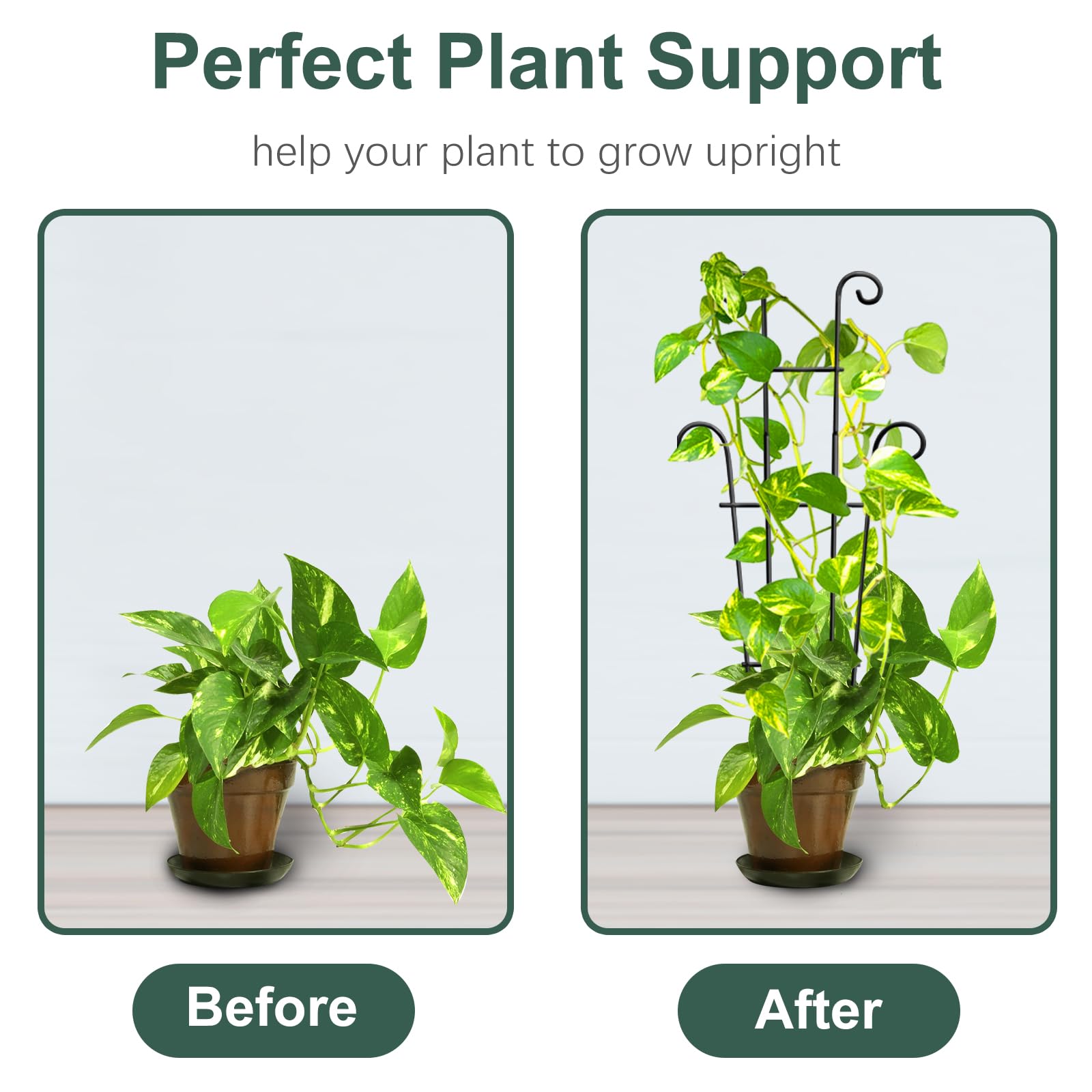 Coomin sturdy metal trellis close-up shows durable build and rust-resistant finish.