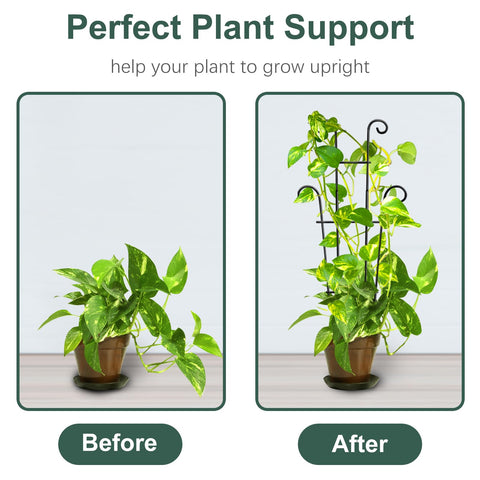 Coomin sturdy metal trellis close-up shows durable build and rust-resistant finish.