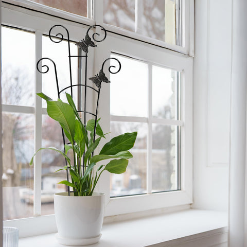 Coomin two-pack trellises offer scalable support for multiple plants.