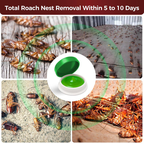 Coomly long-lasting formula keeps attractants effective for weeks
