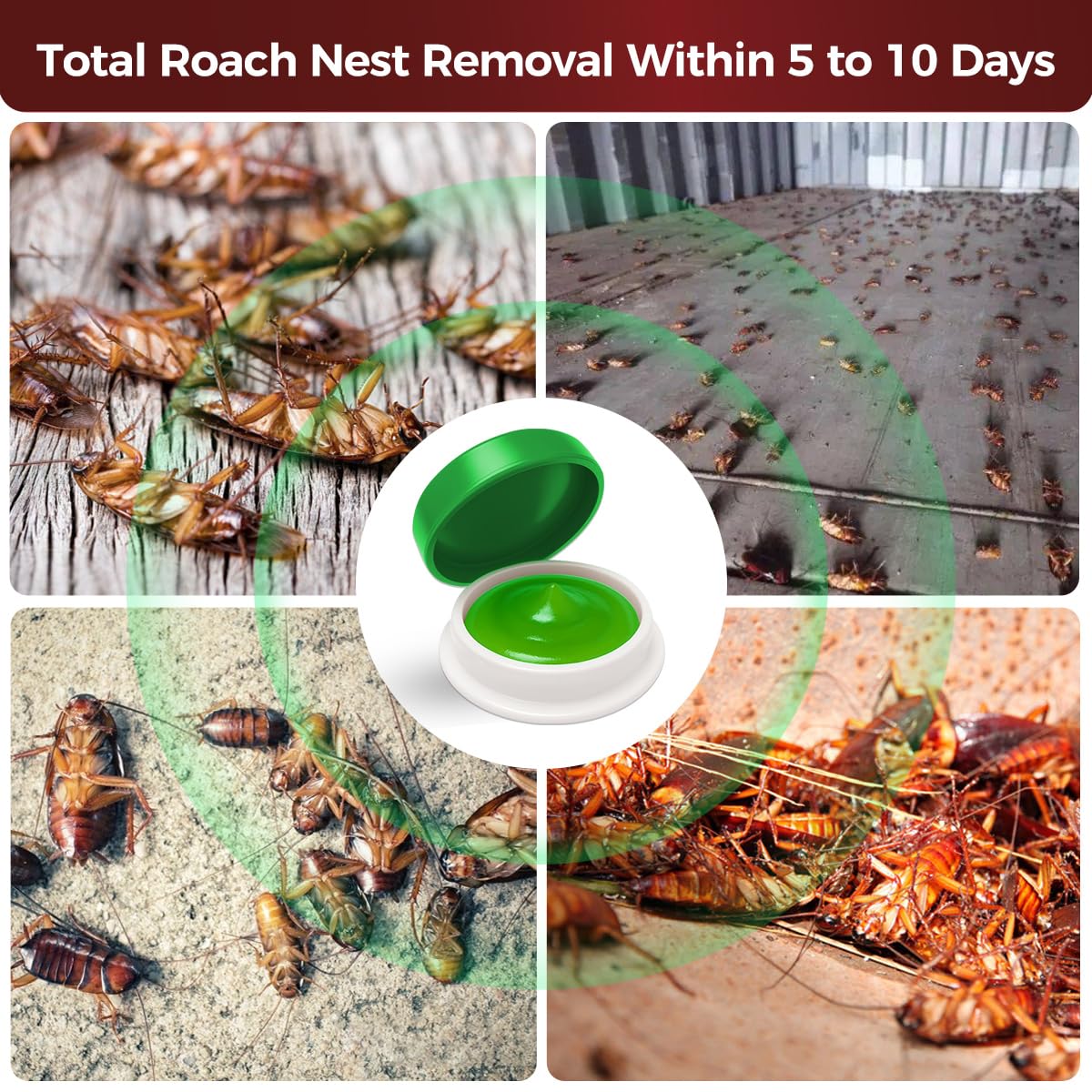 COOMLY roach killer gel stations arranged for optimal coverage in kitchens