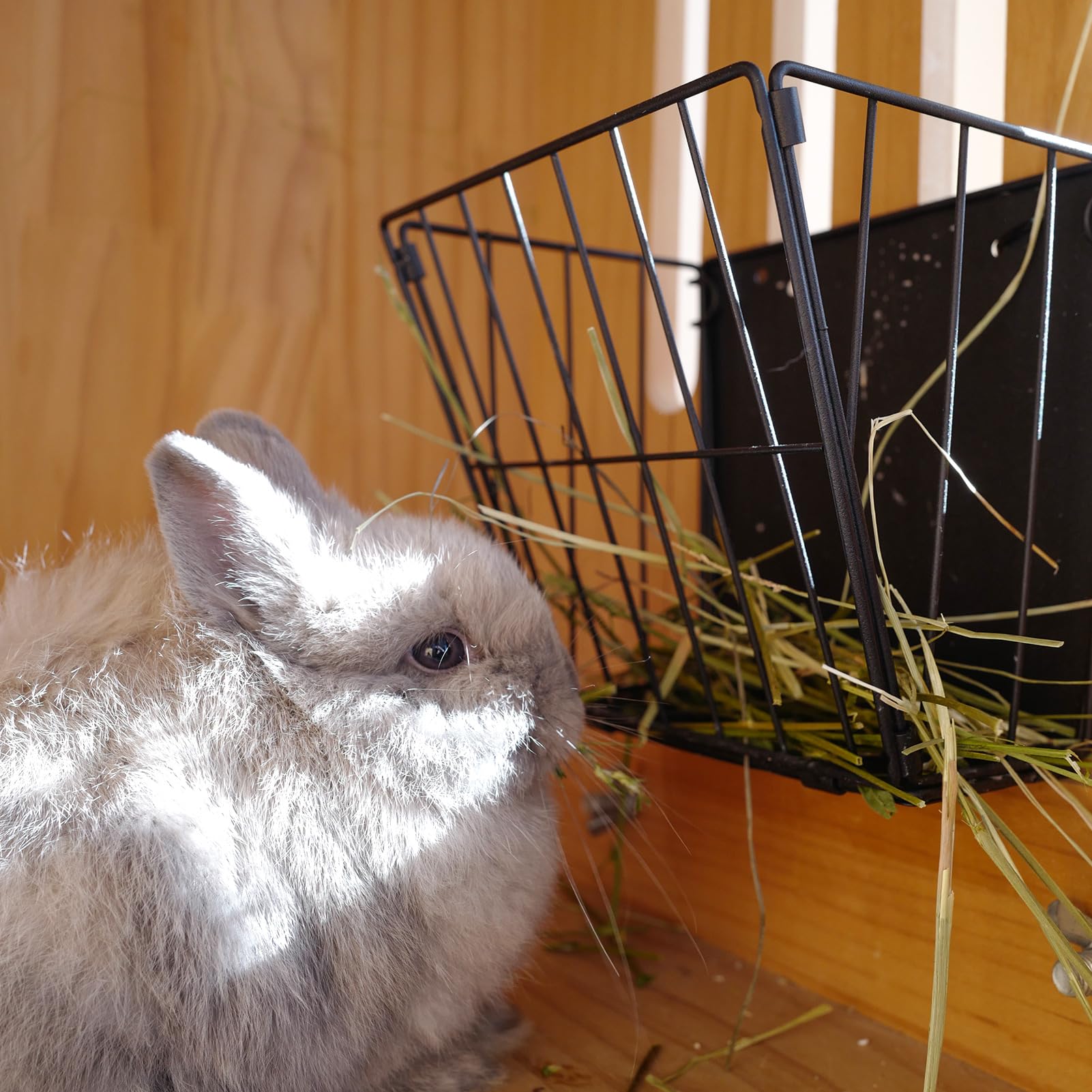 Cooncicy black hay feeder in use with a rabbit nearby