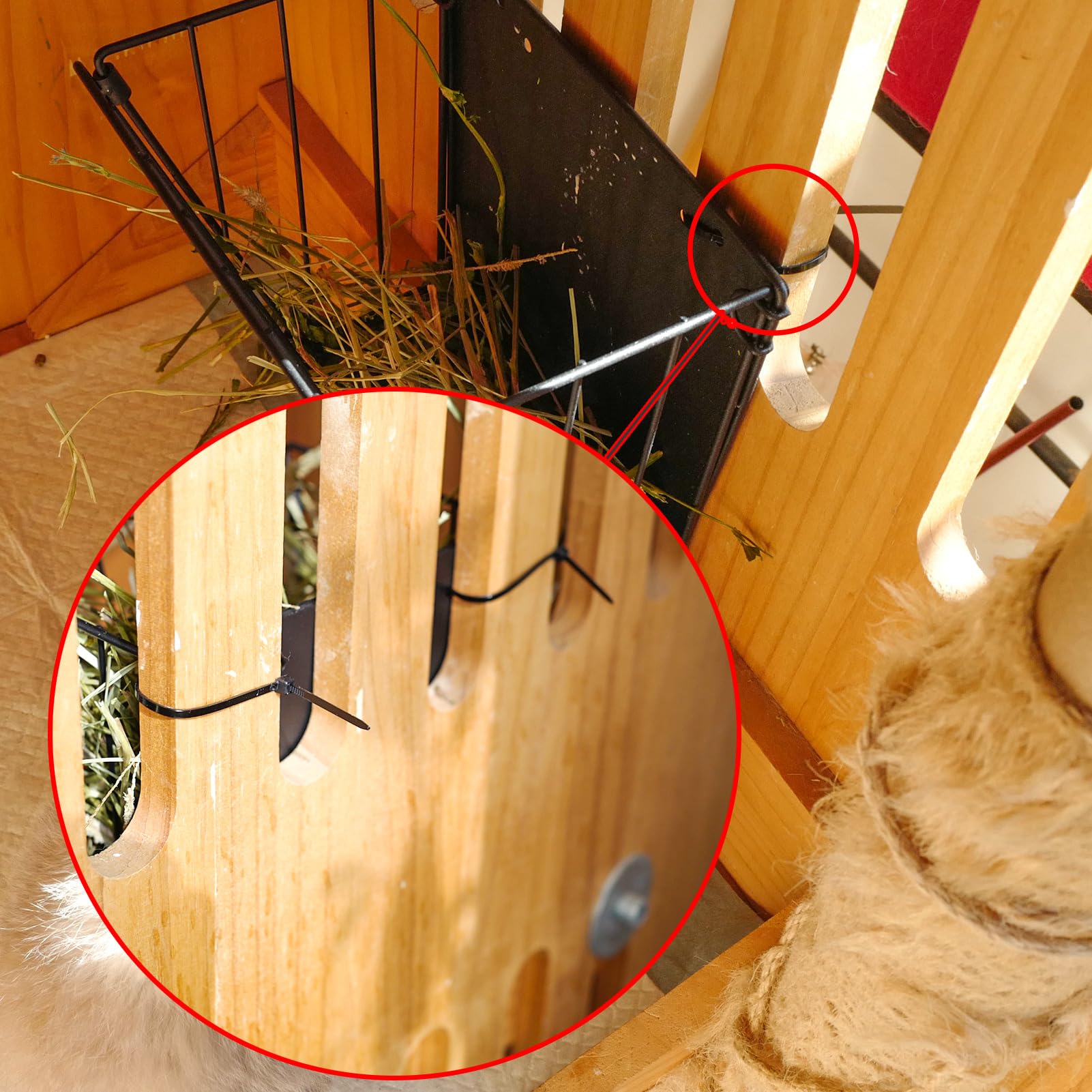 Cooncicy foldable hay feeder assembly demonstrating compact setup