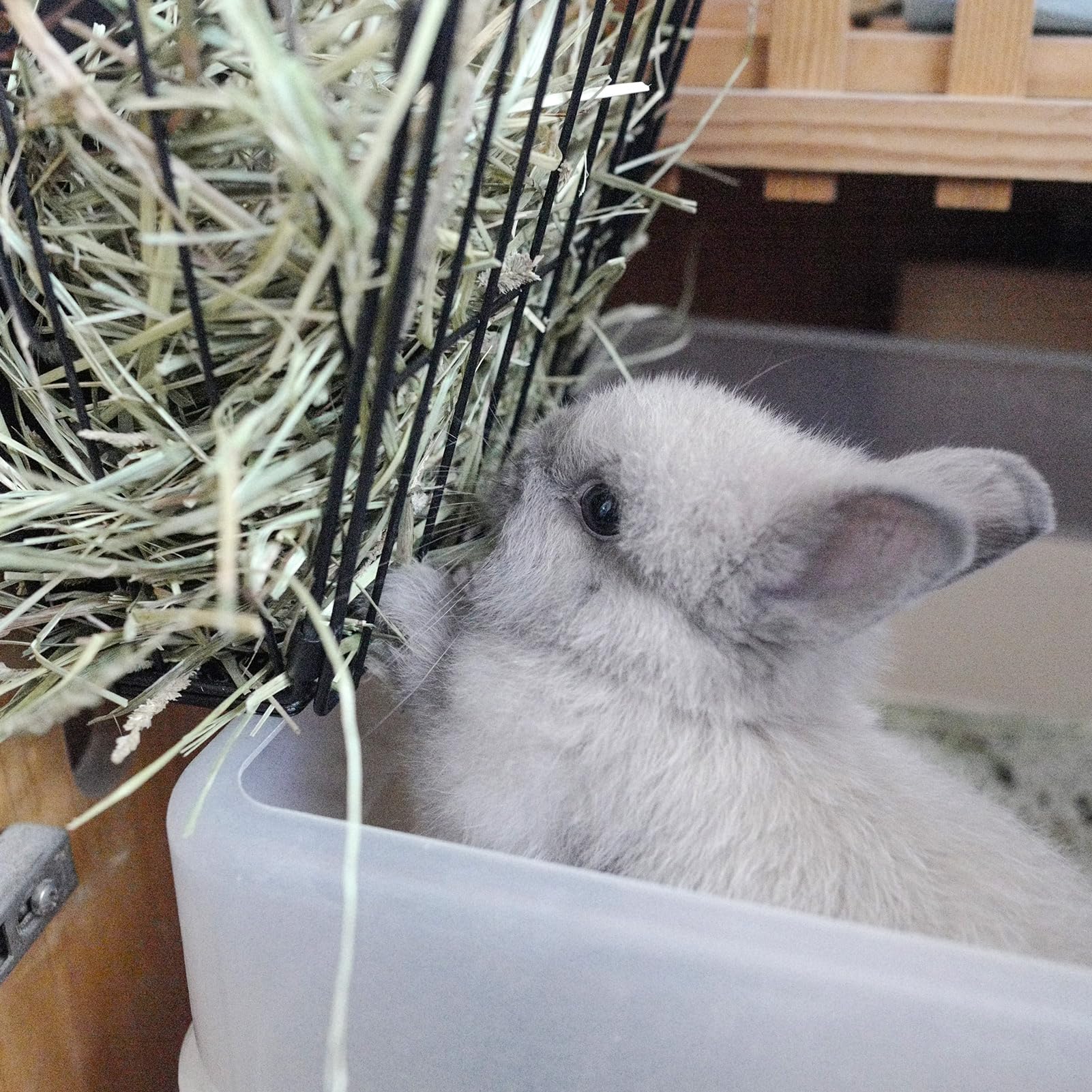 Cooncicy sturdy metal hay rack close-up emphasizing durability