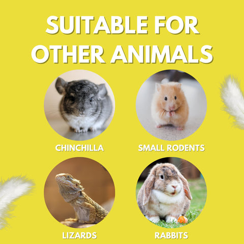 Coop Care Chicken's Choice dust suitable for chinchillas in enrichment session