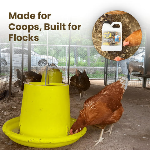 Duck pen misted with Coop Poop Buster for odor control
