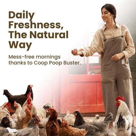 Safe livestock cleaning with natural ingredients