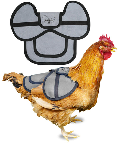 COOPED UP canvas chicken saddle gray front view showing back and wing coverage
