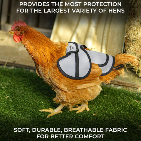 COOPED UP saddle gray with large wing cover shielding feathers