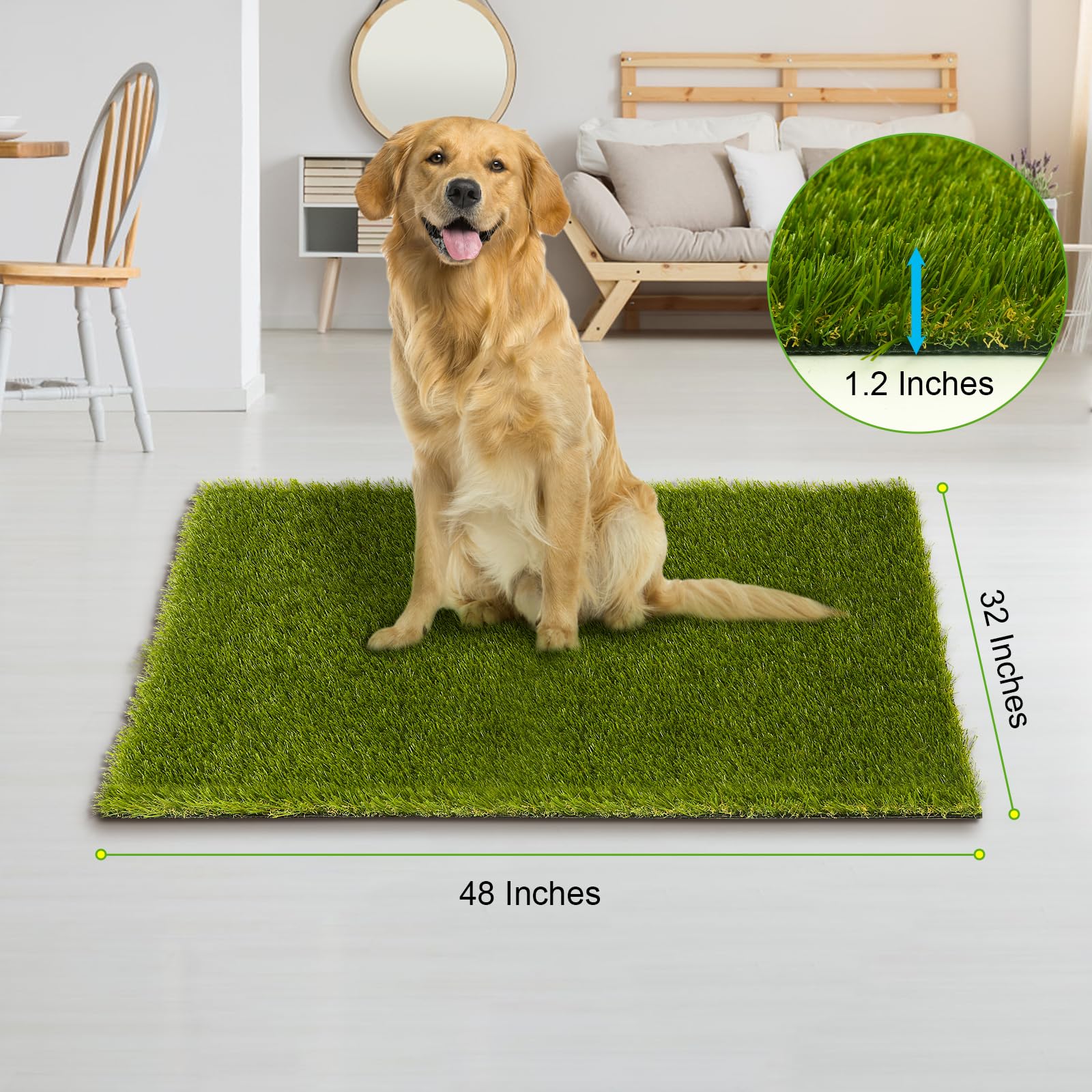 CooRug artificial grass perfect for dogs, providing a soft, durable play surface.