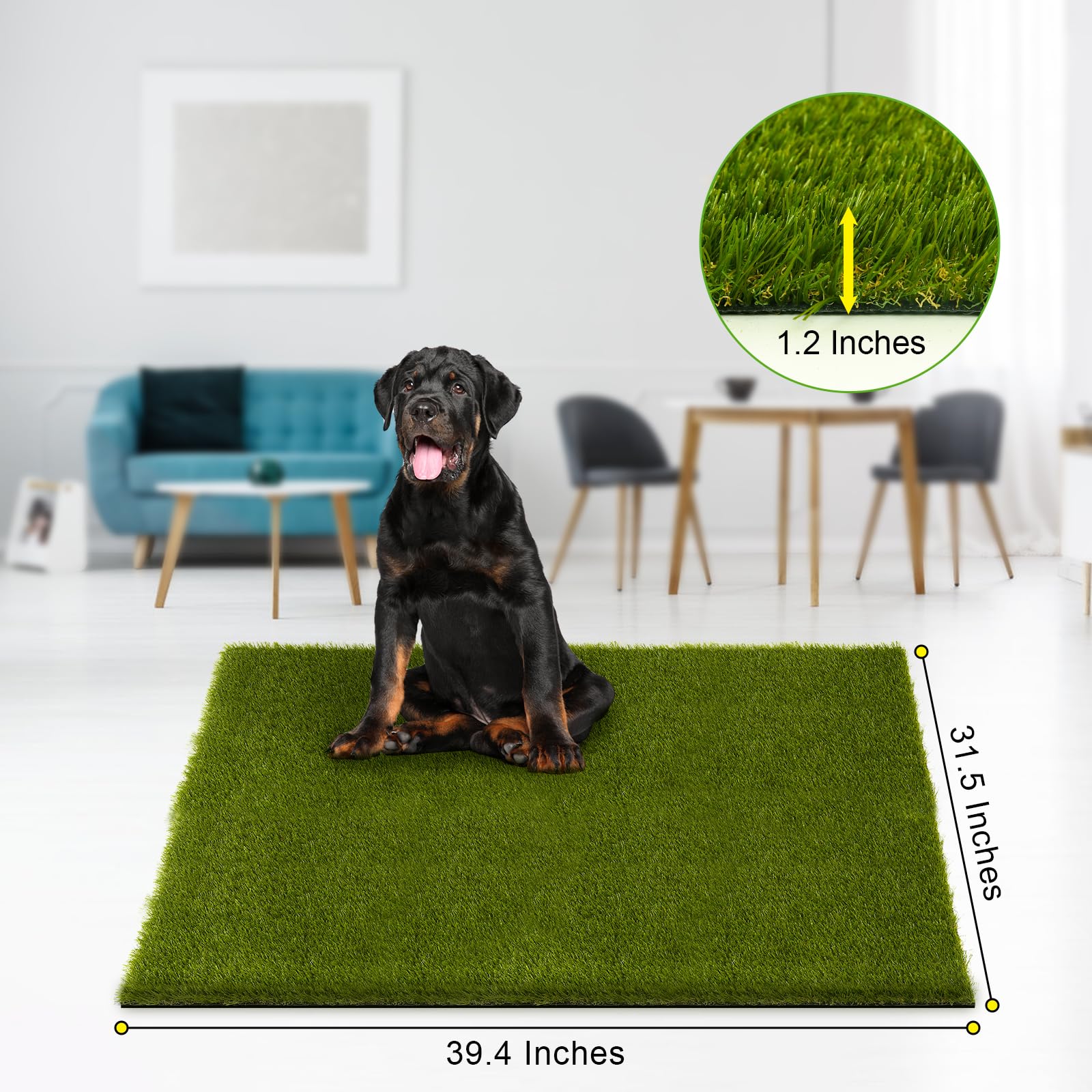 CooRug artificial-grass-indoor-outdoor versatile lawn aesthetics