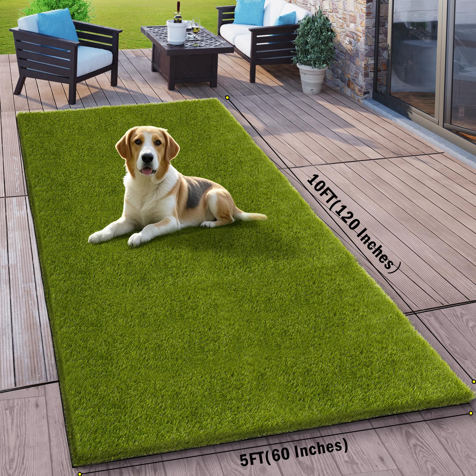 CooRug artificial grass outdoor 5x10ft in dog-play area shows durable, pet-friendly turf