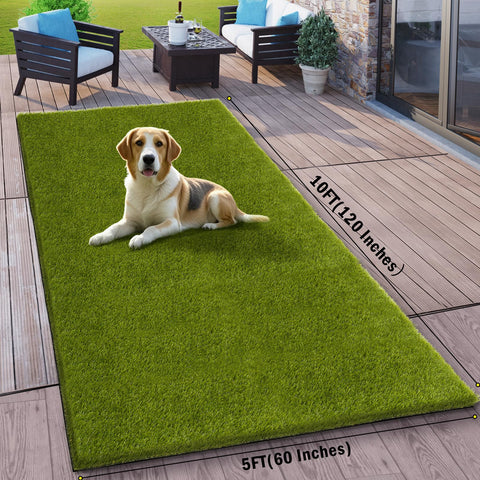 CooRug artificial grass outdoor 5x10ft in dog-play area shows durable, pet-friendly turf