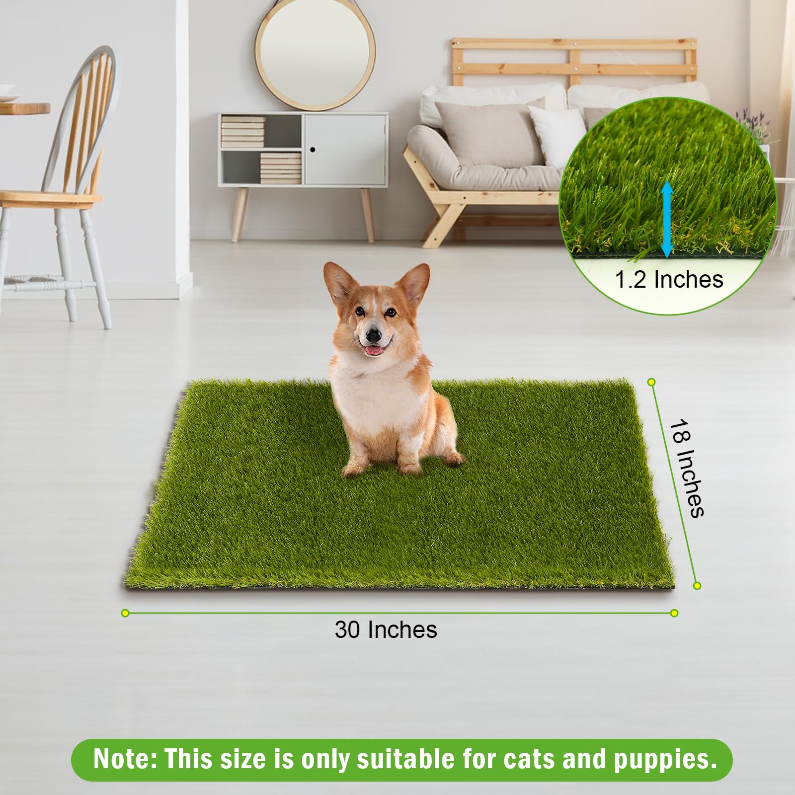 CooRug artificial grass with a realistic design for indoor and outdoor spaces.