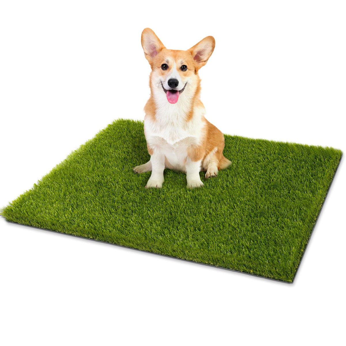 CooRug fake grass 30x17 inches resembles real lawn for pets.