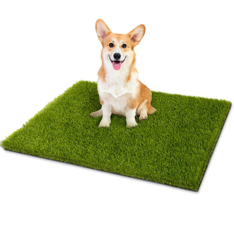 CooRug fake grass 30x17 inches resembles real lawn for pets.