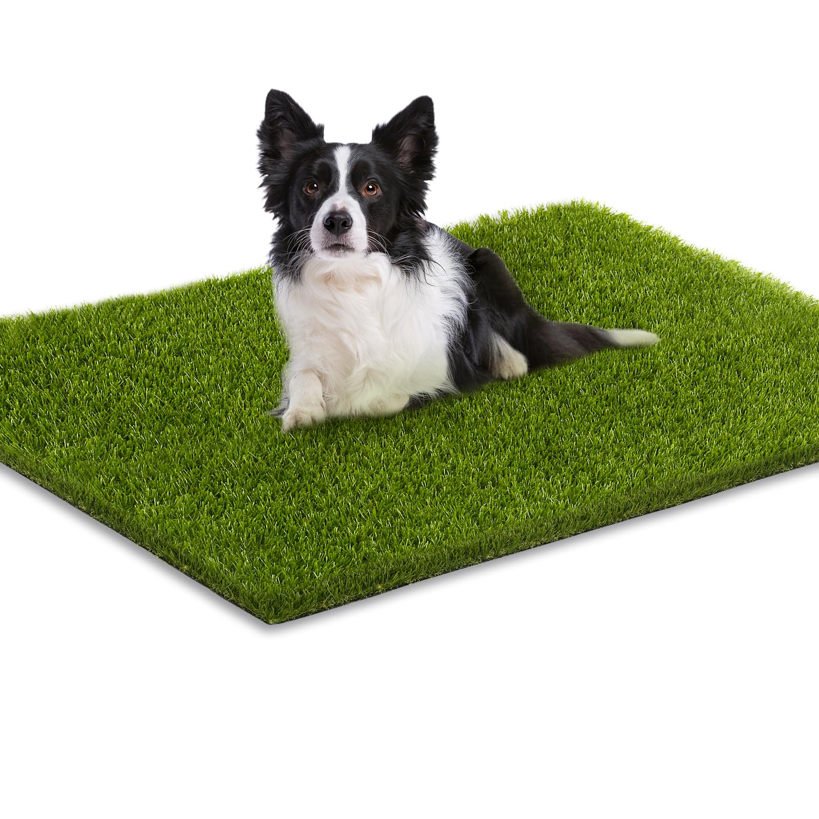 CooRug fake grass close-up reveals lush texture for a natural look indoors and outdoors.
