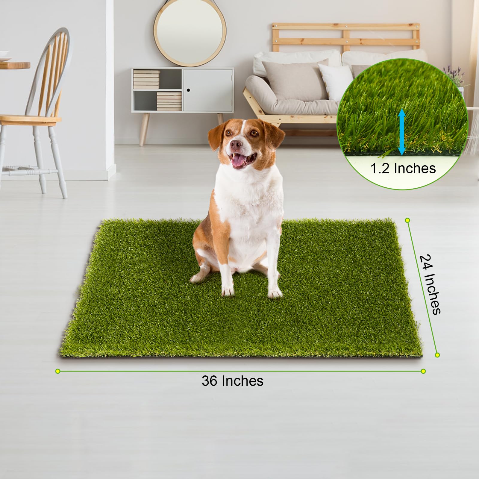 CooRug fake grass 36x24 patio scene demonstrates easy maintenance and evergreen color.