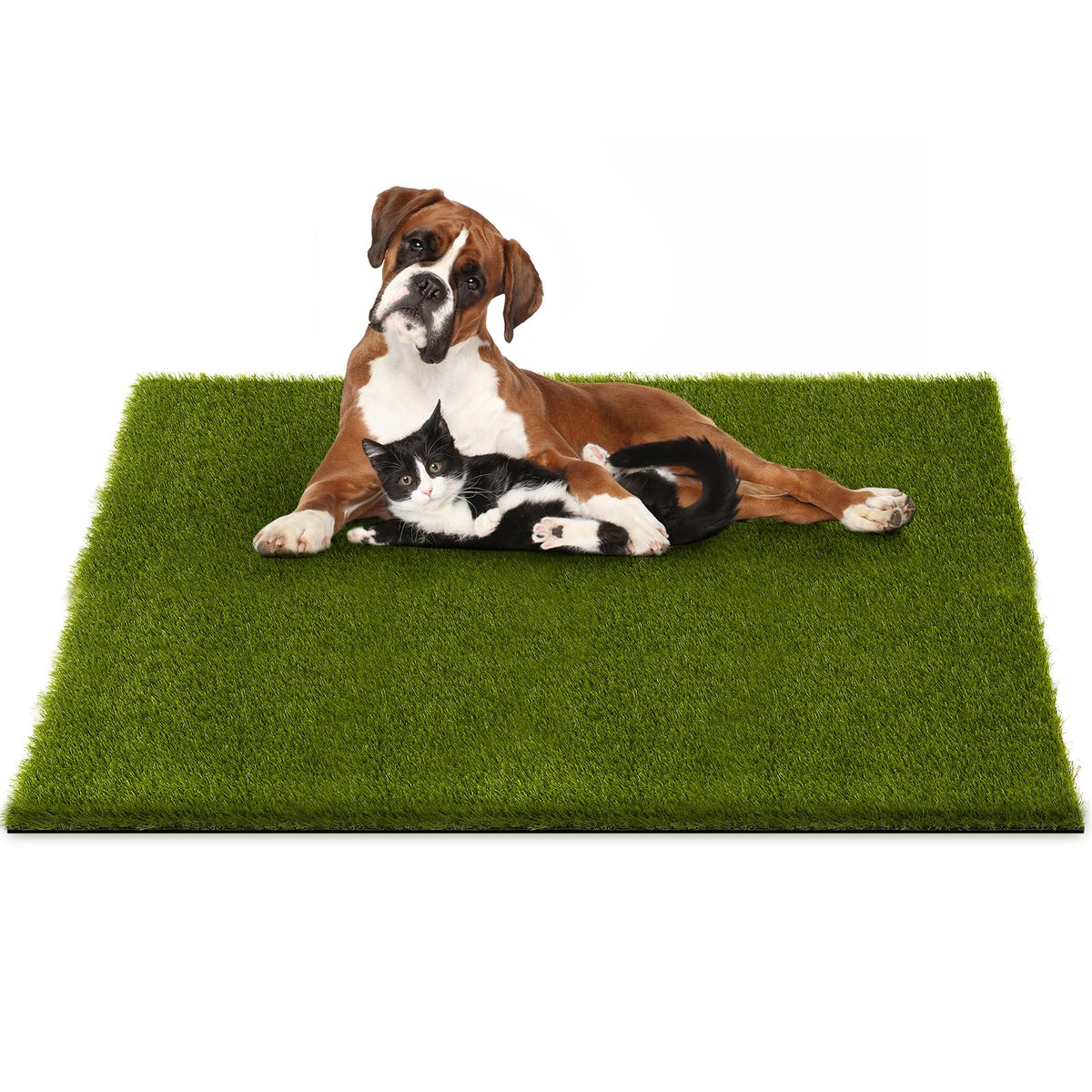 CooRug fake grass on dogs-patio for safe play and a lush surface