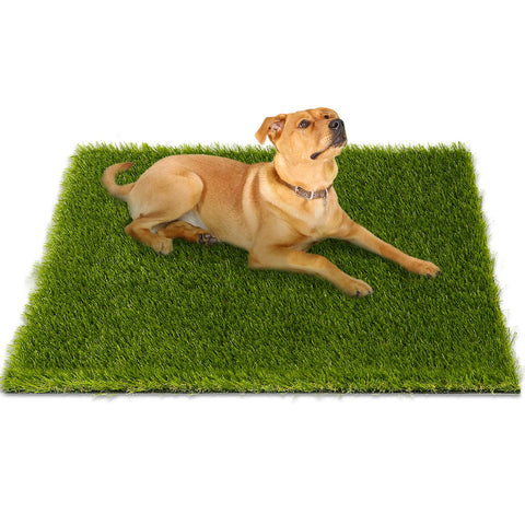 CooRug fake grass close-up showing realistic blades for natural-looking lawn.