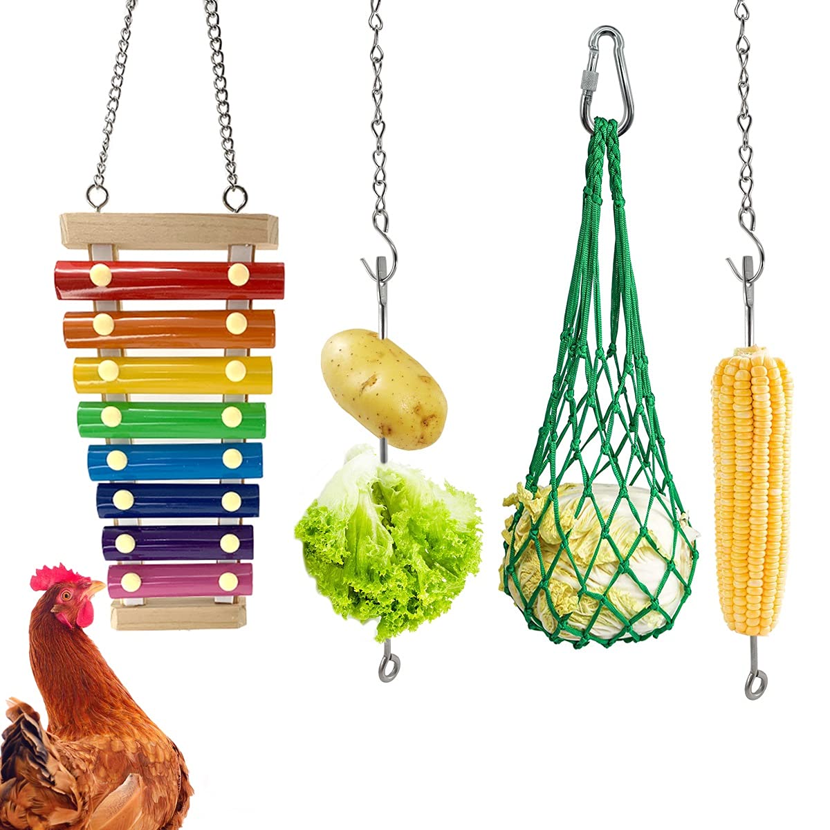 CooShou chicken xylophone toy sparks curiosity in coop
