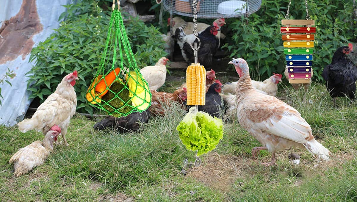 CooShou veggie skewers hold treats for hens