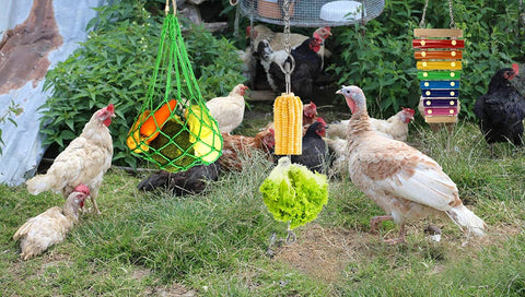 CooShou veggie skewers hold treats for hens