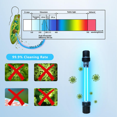 Coospider-Repta aquarium UV light enhancing water clarity.