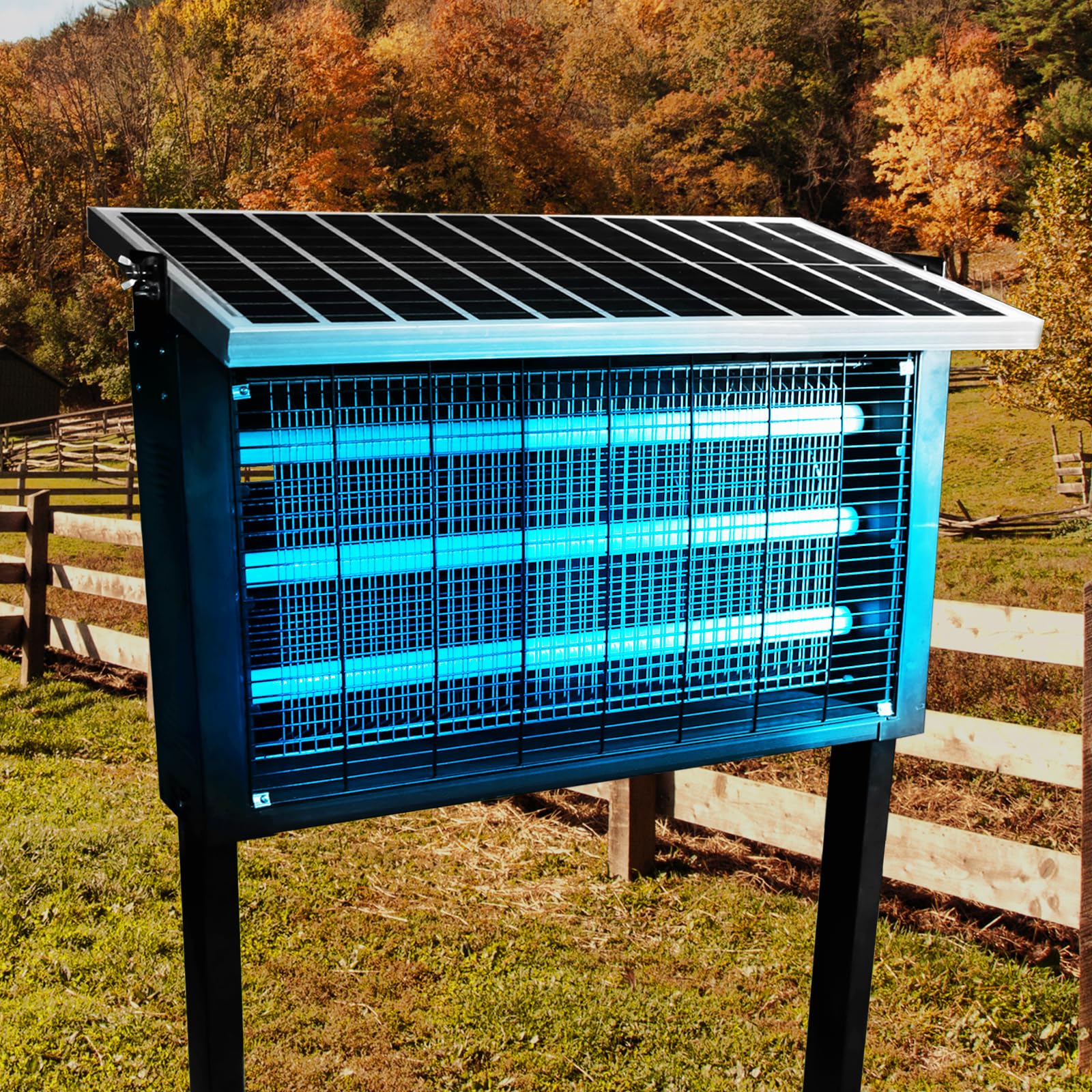 Coospider-REPTA dusk-lit zapper glows over an outdoor space.