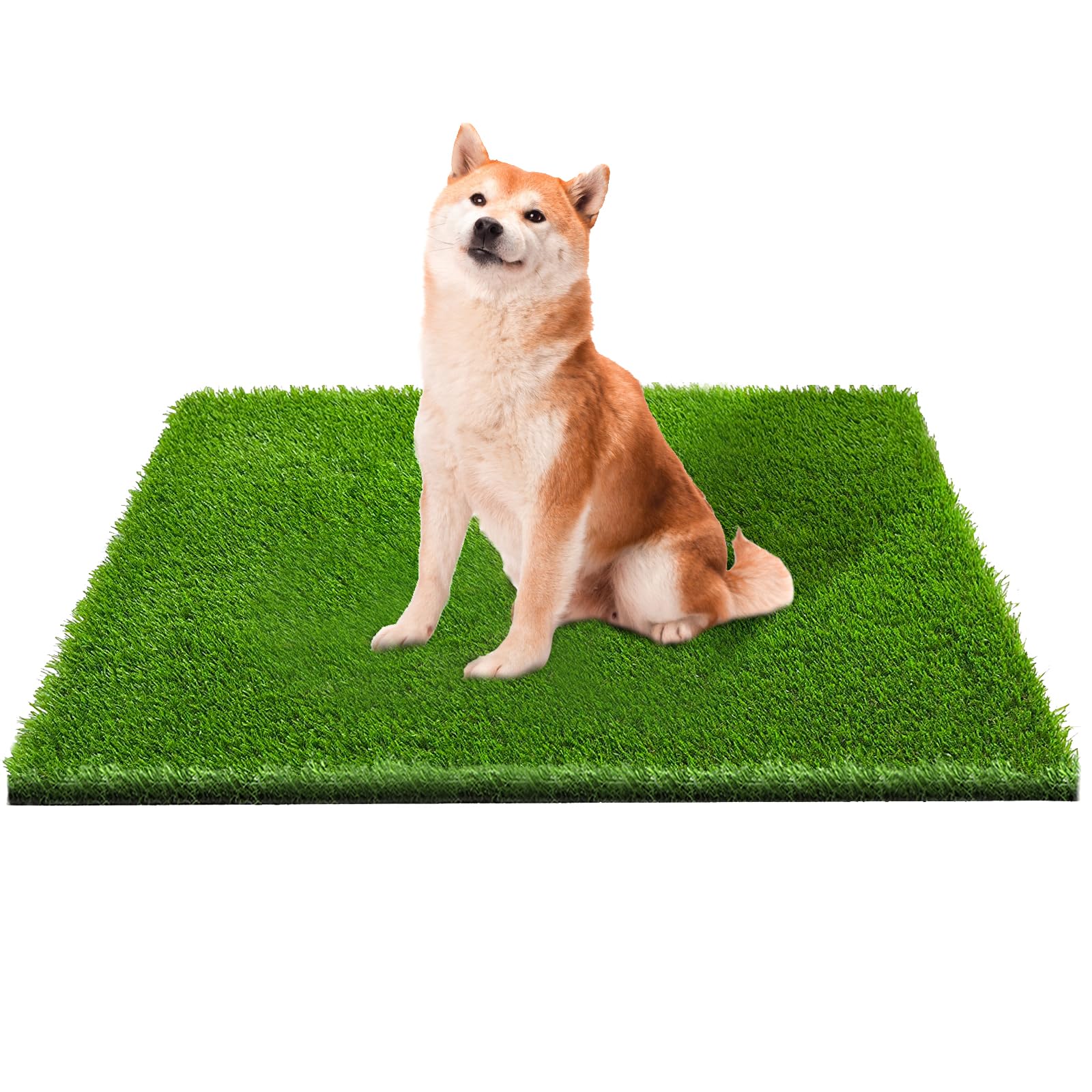 CooZero artificial grass mat in a backyard, soft pet-friendly surface.