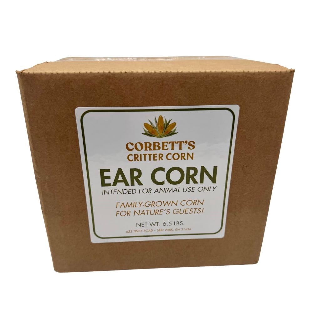 Corbett's Critter Corn whole cob ear, Georgia-grown, great for attracting deer and squirrels at feeders.