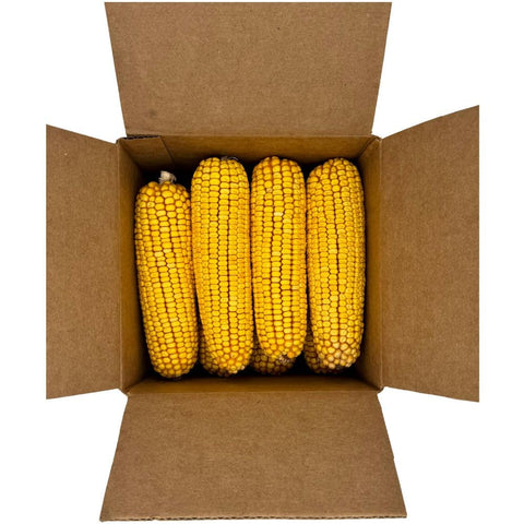 Corbett's Critter Corn husk-free corn, ideal for ground-foraging wildlife and easy clean-up.