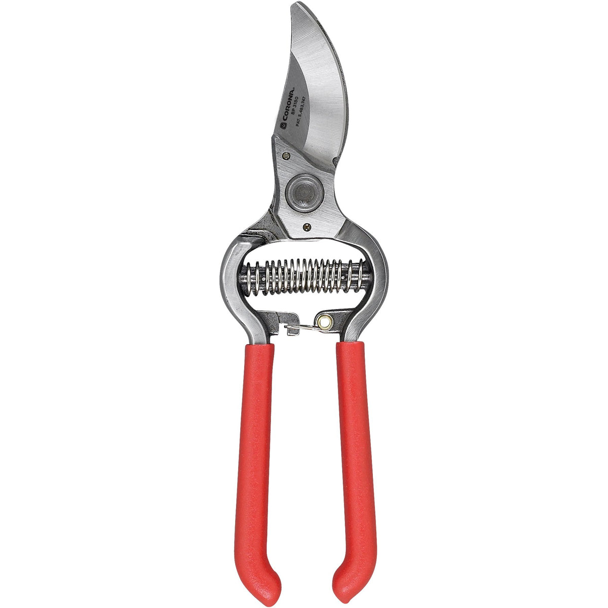Corona BP 3180D bypass pruner blade close-up for clean cuts on live wood
