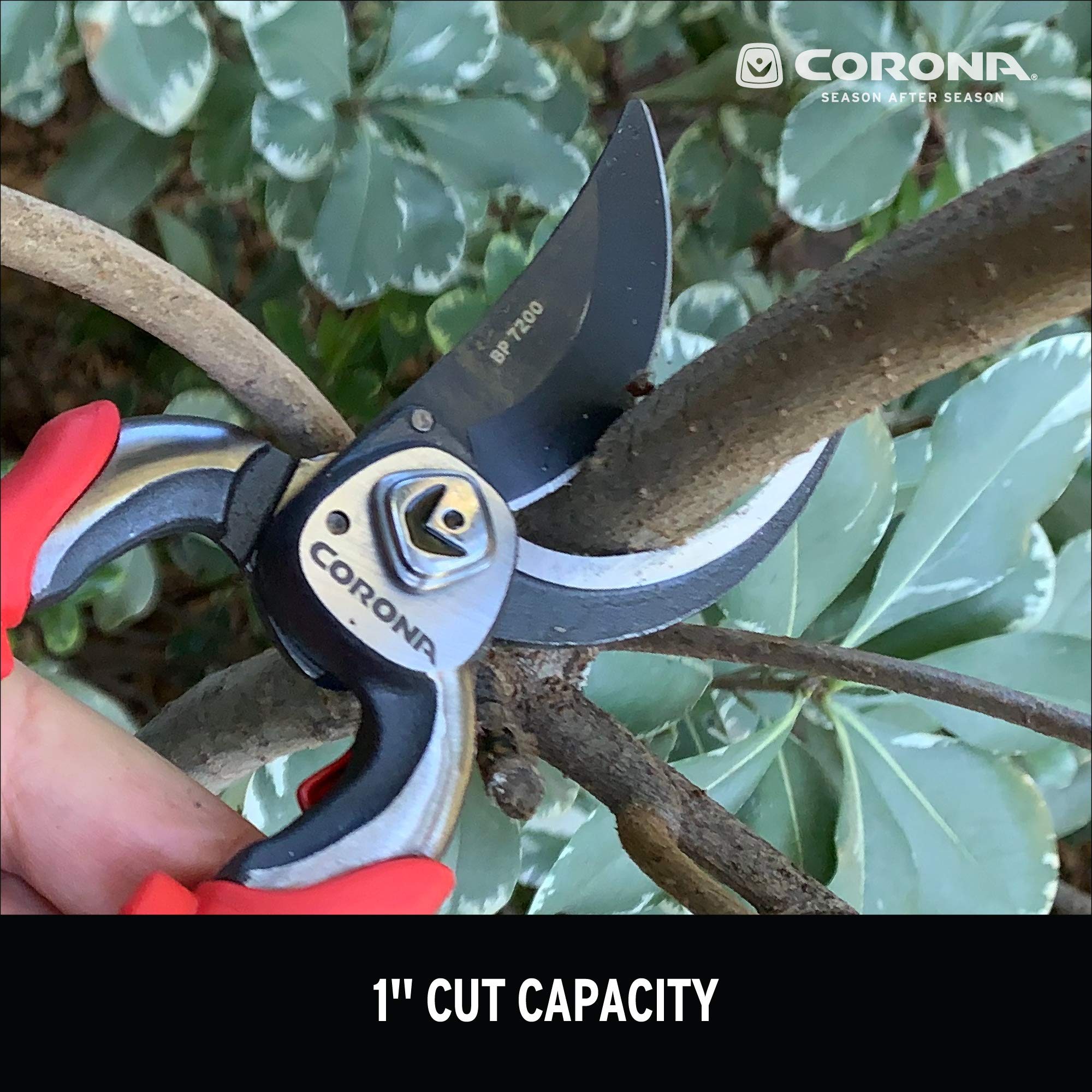 Corona BP 7200 bypass blade action delivers smooth pruning for healthy regrowth.