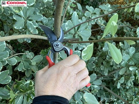 Corona BP 7200 professional-grade pruner suited for home gardeners and landscapers.