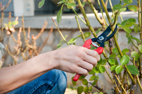 Corona BP3214D ComfortGEL ergonomic grip reduces hand fatigue during pruning.