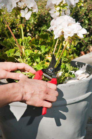 Corona BP3214D compact design aids shrub shaping in dense areas.