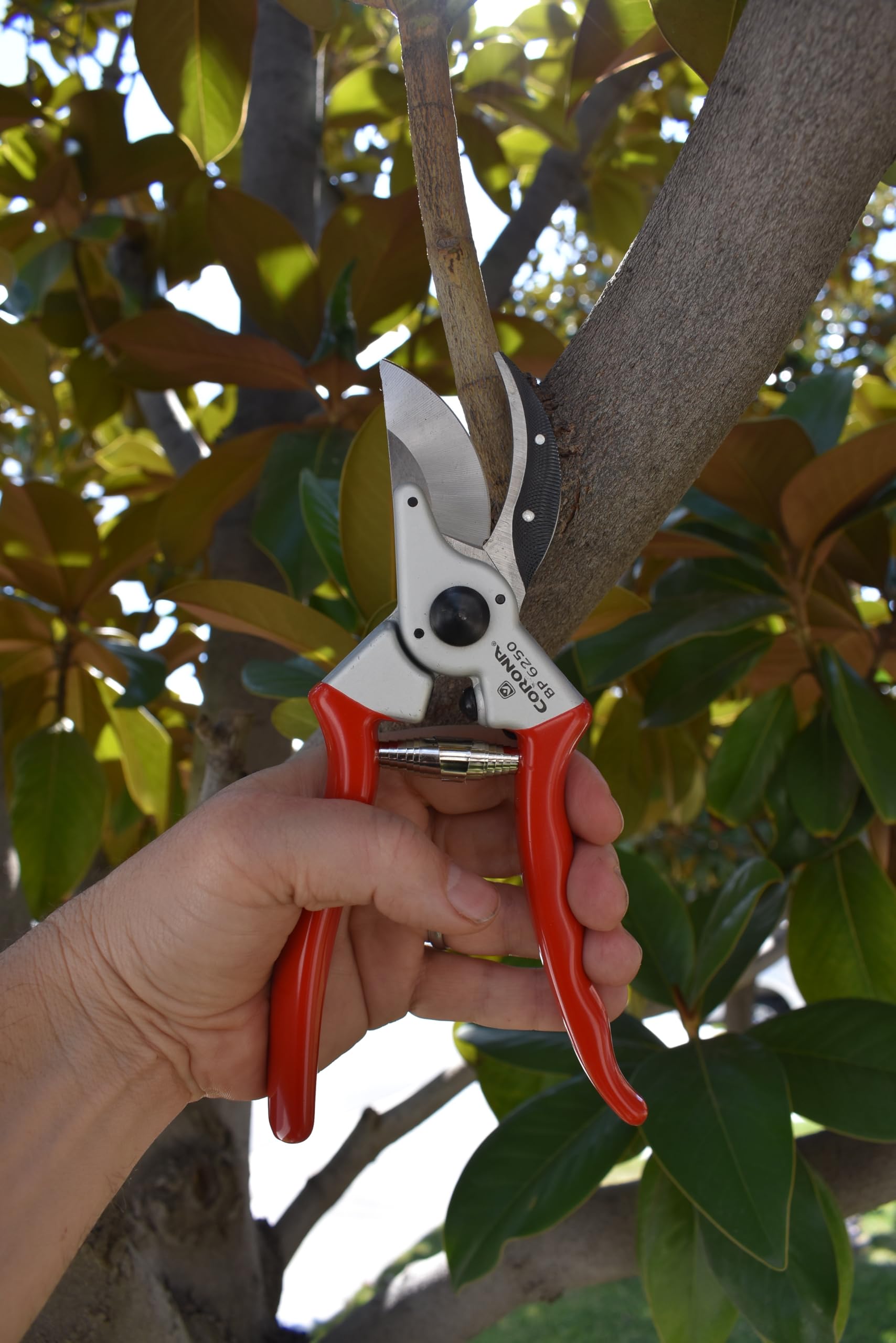 Corona BP 6250 red ergonomic handles angled for secure grip while pruning.