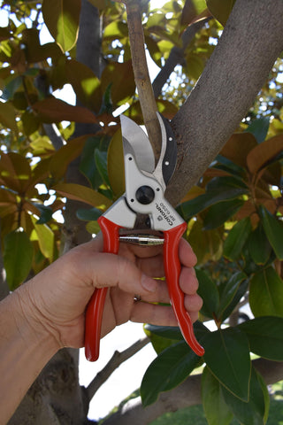 Corona BP 6250 red ergonomic handles angled for secure grip while pruning.