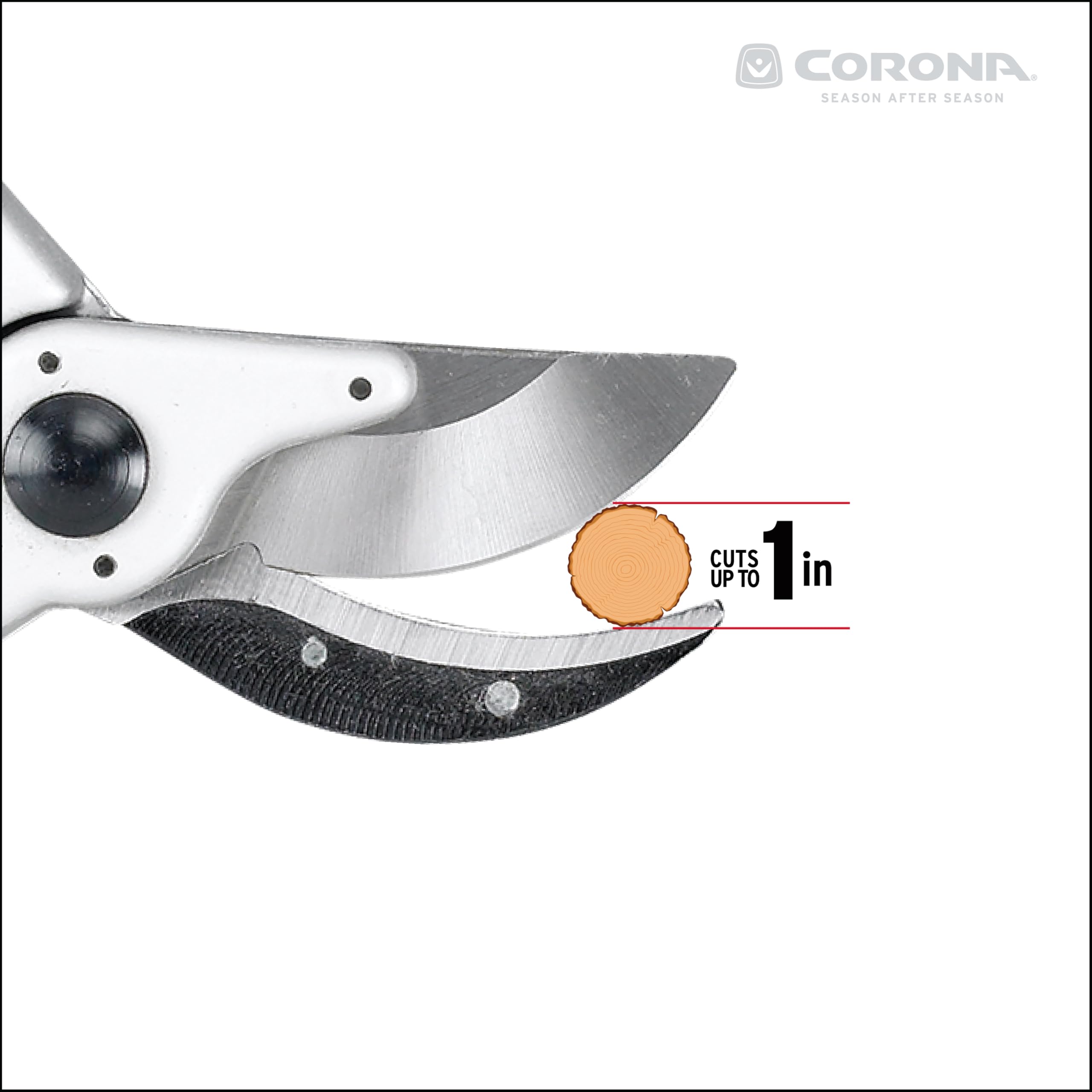 Corona BP 6250 safety lock engaged for secure storage after use.