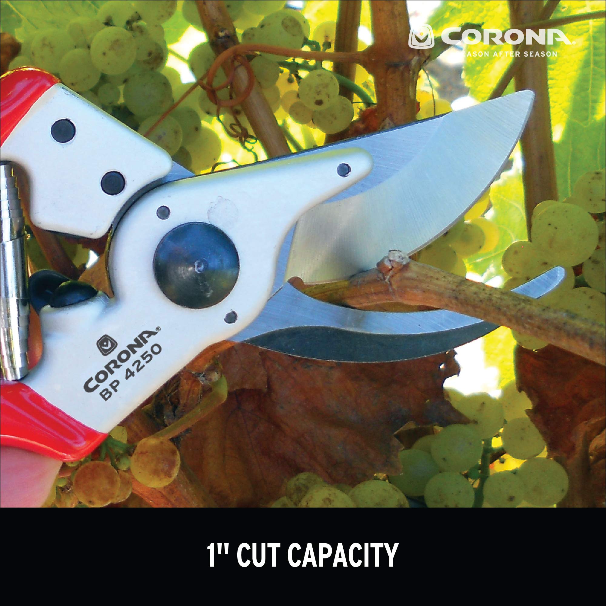 Corona Bypass Pruner in garden scene with shrubs and flowers.