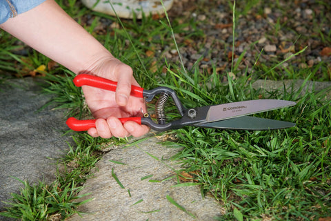 Corona ClassicCUT wood-handle design offers comfortable control for detail trimming