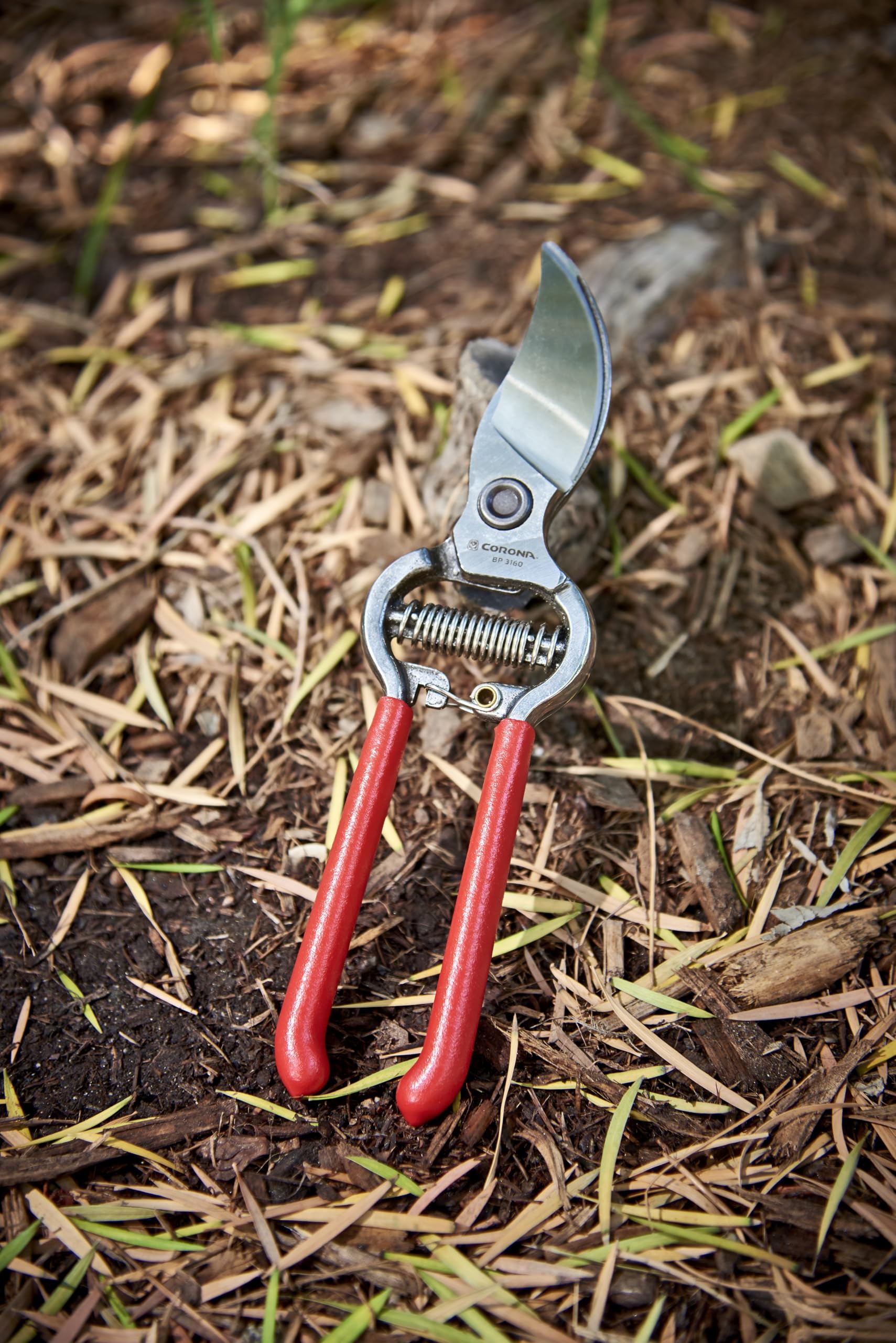 Corona ClassicCUT sap groove helps keep blades cleaner between cuts.