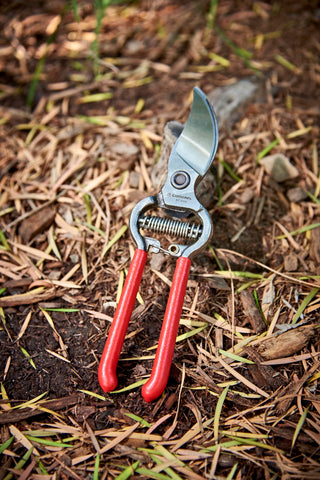 Corona ClassicCUT sap groove helps keep blades cleaner between cuts.