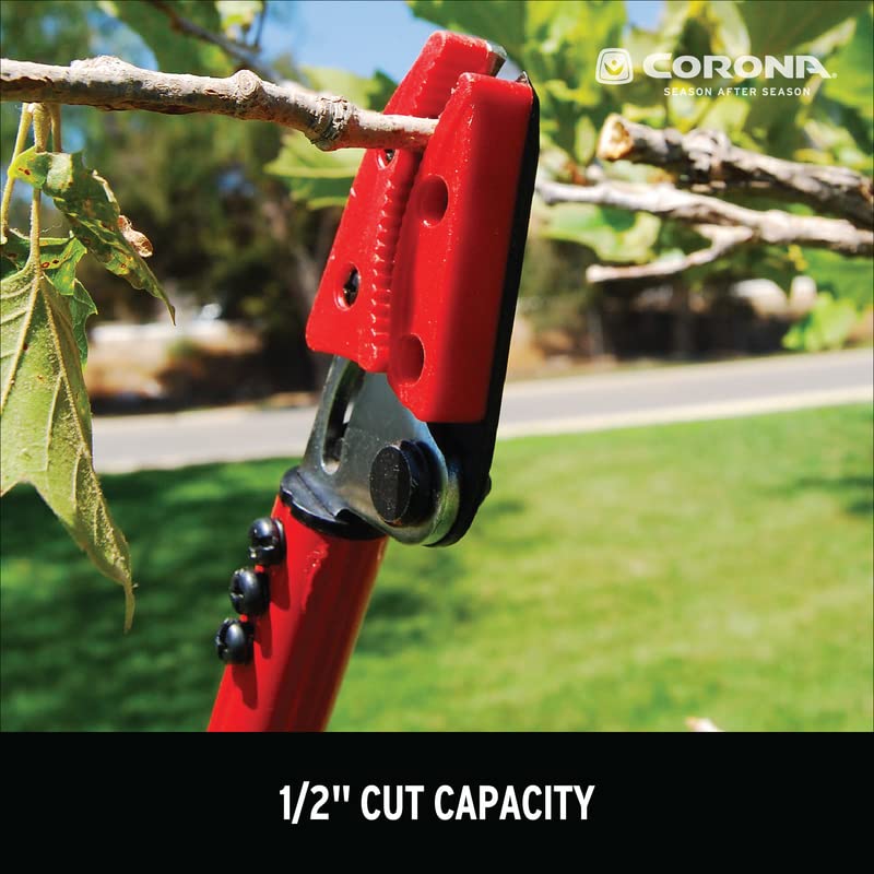 Corona Clipper heat-treated high-carbon steel blade for lasting durability