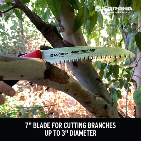 Corona durable steel blade and reinforced frame for longevity