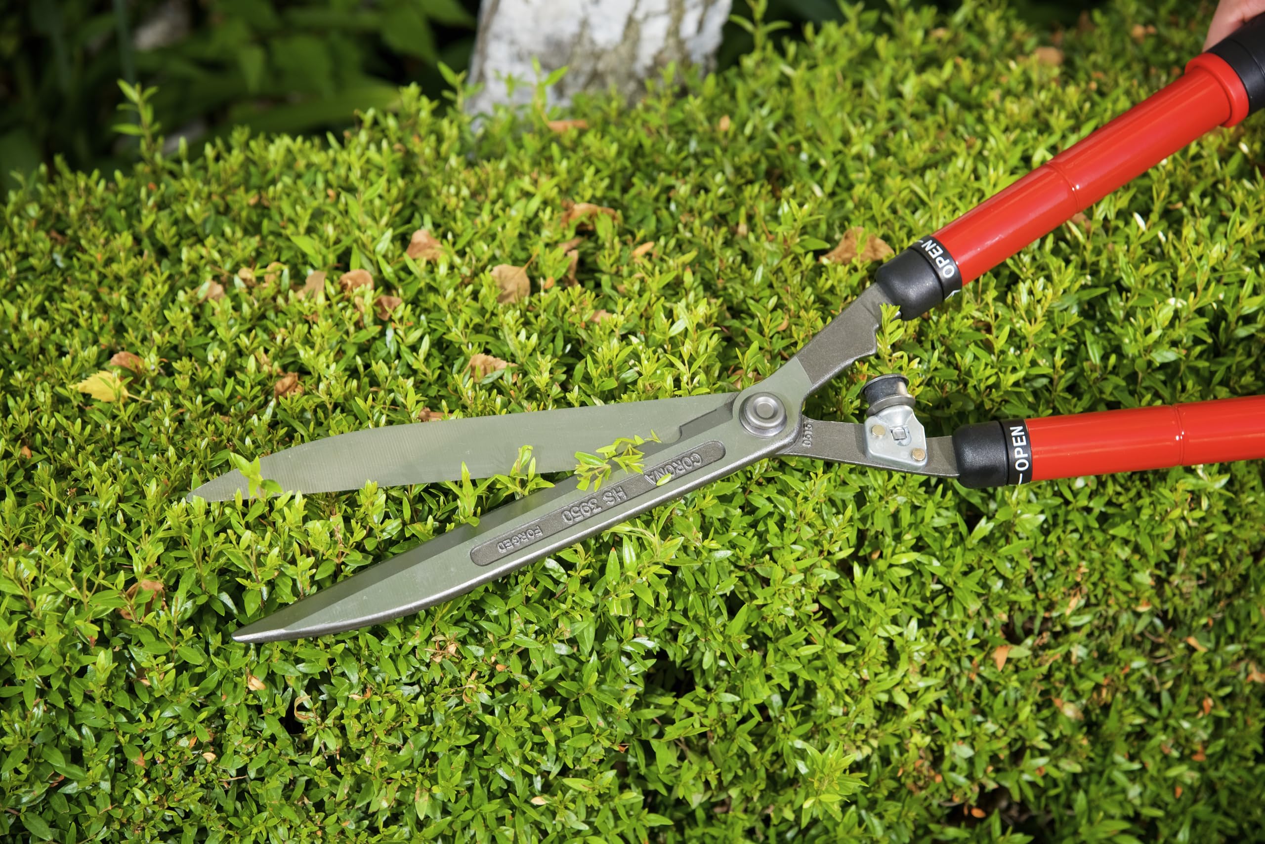 Corona HS 3950 durable garden tool for hedges and shrubs