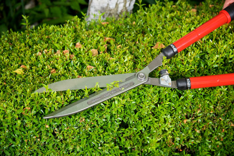 Corona HS 3950 durable garden tool for hedges and shrubs