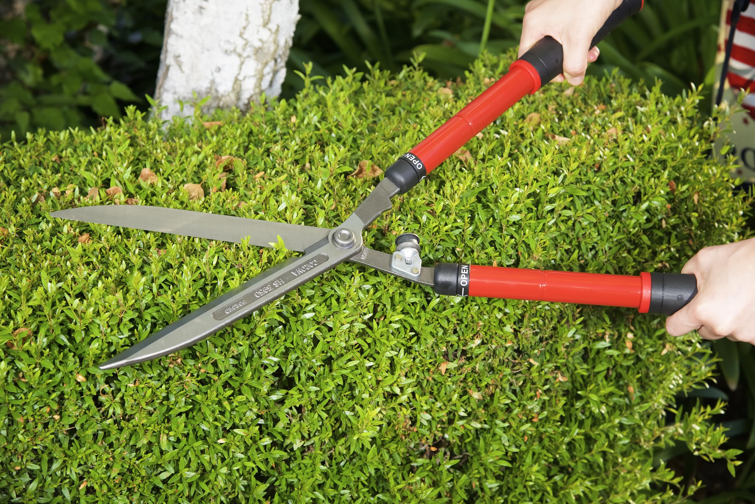 Corona HS 3950 with extendable handles from 15 to 26 inches