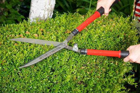 Corona HS 3950 with extendable handles from 15 to 26 inches